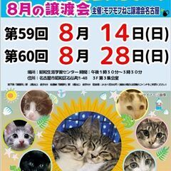8/14(日)　猫の譲渡会　in　名古屋市昭和生涯学習センター