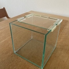 小型の水槽(メダカ 金魚)ガラス製正方形