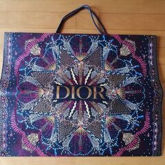 ディオール 美品 Dior ショップ袋 紙袋 ショッパー