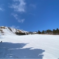 スキーを一緒に練習しませんか