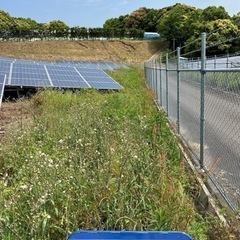 太陽光の草刈り　便利屋タスケットは佐賀県にも伺います　の画像