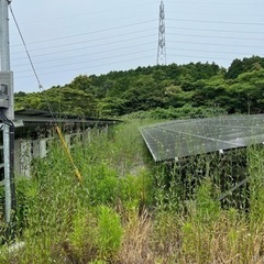 太陽光の草刈り　便利屋タスケットは佐賀県にも伺います　 - 剪定/造園