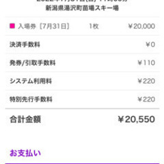 フジロックフェスティバル　チケット　2022/7/31