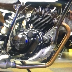 YAMAHA TW225 DG09J 後期型