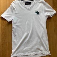 アバクロ　メンズ　Tシャツ　Sサイズ　ビックロゴ