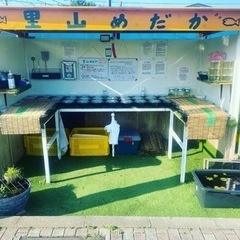 【ネット決済】里山公園前　里山めだか無人販売所　出品　7/23