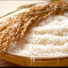 ①農家のお米🌾令和3年秋収穫分  30キロ