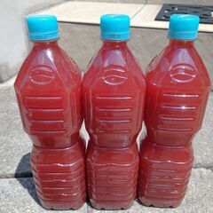 自家培養PSB（光合成細菌）《900ml》１本あたり