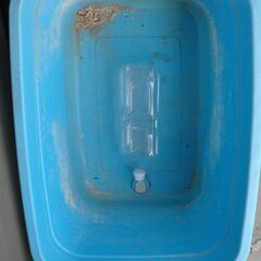 水槽 桶 プール 飼育 生き物 金魚 亀 メダカ ザリガニ