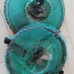 魚捕り　蟹捕り　折り畳み式　2個セット