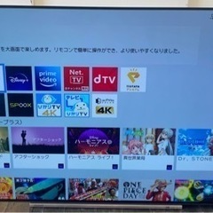 N305★TOSHIBA★55型4K有機テレビ★1年保証付き