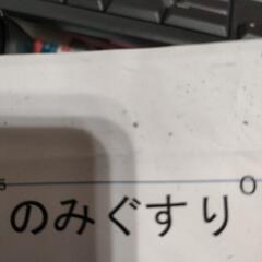 北陸限定メングル募集