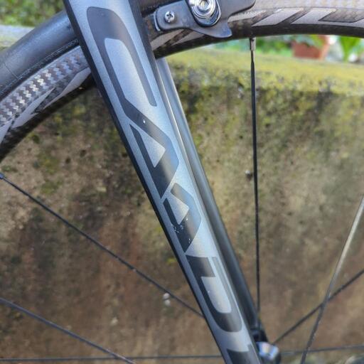 COELIE 伊原葵さんcollab YAKxWOOLクルーネックニット 2025年最新