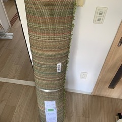 IKEA 緑のカーペット