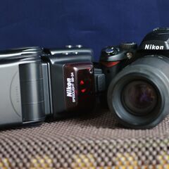 NIKON D60 D80 D100 一撃2万円の通販はau PAY マーケット - 輸入雑貨の 