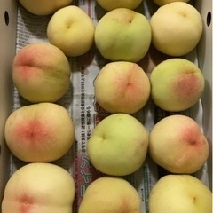 【１箱限定！】夢白桃🍑