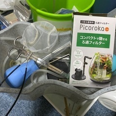 メダカとチェリーシュリンプ