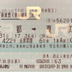 京都→東京ディズニーランド 新幹線 のぞみ 指定席