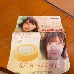 欅坂46 ポスター？ 渡邉理佐 長濱ねる