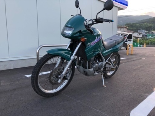 Kawasaki kle250アネーロ（決まりました）