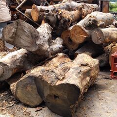 🍀 ケヤキ 杉の原木.製品.薪🪵　
