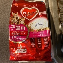 キャットフード【BEAUTY PRO 子猫用】1.5kg