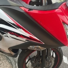 【ネット決済・配送可】NINJA250