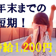 「あっ・・」年末までの短期・軽作業（ネジ等の仕分け）