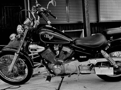 ビラーゴ250