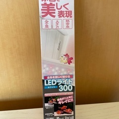 LEDライト300   