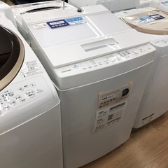 TOSHIBA 全自動洗濯機 7kg【トレファク上福岡】