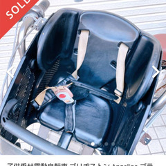 (譲り先決定しました)