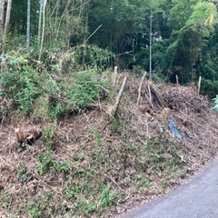 住宅街に近い平地の山林です。