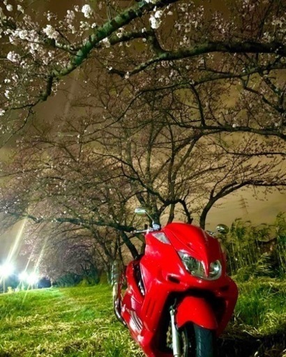 マジェスティcフルカスタム