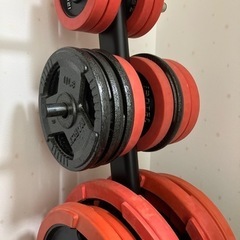 バーベル　プレート　ezバー　プレートラック　セット