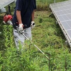香川県　8月8,9日の2日間　太陽光発電所の草刈作業