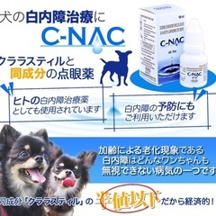 【ネット決済・配送可】犬用目薬『C-NAC』10ml×2本 未開封