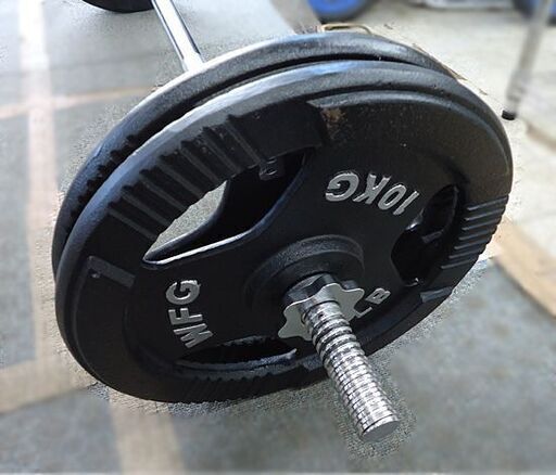 札幌市内近郊限定 WFB 22LG バーベルプレート 10kg×4枚 計40kg+シャフト 約6kg ダンベルプレート 筋トレ 札幌市 豊平区 札幌市内近郊限定 WFB 22LG バーベルプレート 10kg×4枚 計40kg+シャフト