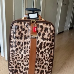 【値下げ】スーツケース