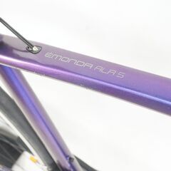 TREK 「トレック」 EMONDA ALR5 2019年モデル ロードバイク