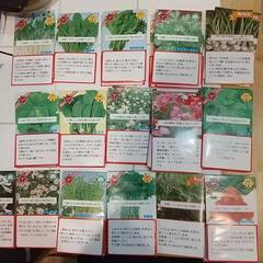 野菜、花の種  小袋約60ケ(東京優芳園)
