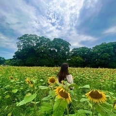 格安で車を借してくれる方