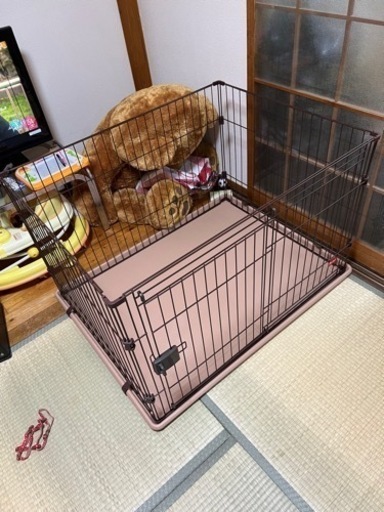 ゲージ3
