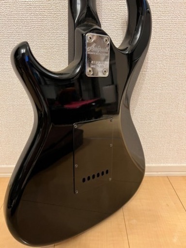 値下げ 美品【日本製】RS WildCat AriaProⅡ | inmarco.ae