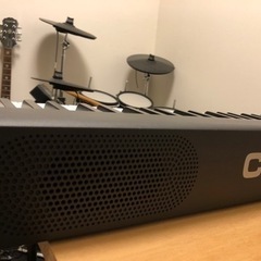 ✨配送料無料‼️【初心者～上級者まで納得の1台‼️】CASIO CDP-