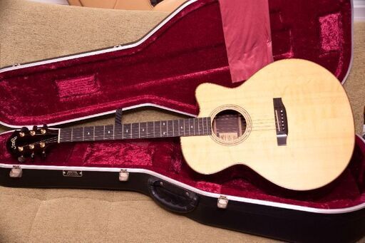 Stevens custom guitars『J Cutaway』　アコギ　アコースティックギター