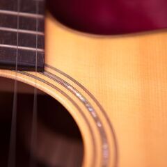 Stevens custom guitars『J Cutaway』　アコギ　アコースティックギター