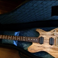 Sugi Guitars DS496HR SPL/AT NAT