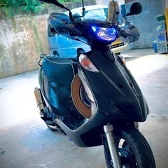 v125g K9