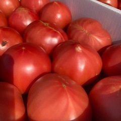 トマト　一箱　各種サイズあり　¥750〜1080